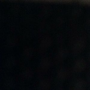 Meet your Posher, Jerry